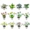 Assorted Micro Plant, 1pc. by Ashland®